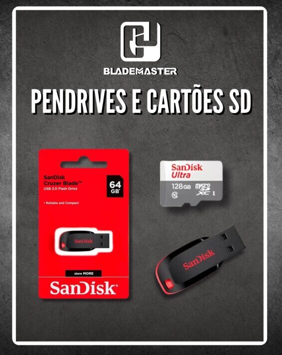 Pendrive e Cartões SD