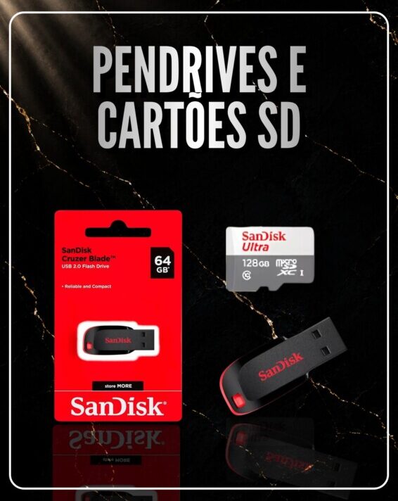 Pendrive e Cartões SD